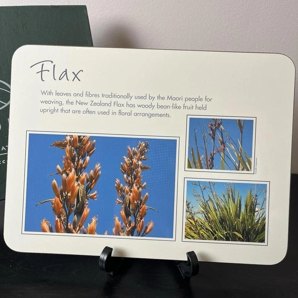 Jason Placemats New Zealand Native Flowers Set Of 6 Clematis, Flax, Hebe, Daisy